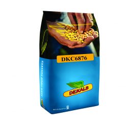 სიმინდის თესლი DKC6724