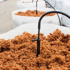 სუბსტრატი