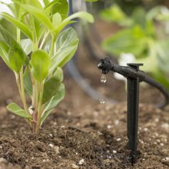 სარწყავი სისტემები