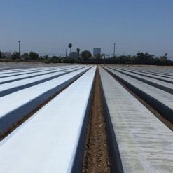 ფირები & ბადეები