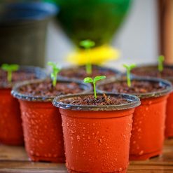 ქოთნები & კასეტები