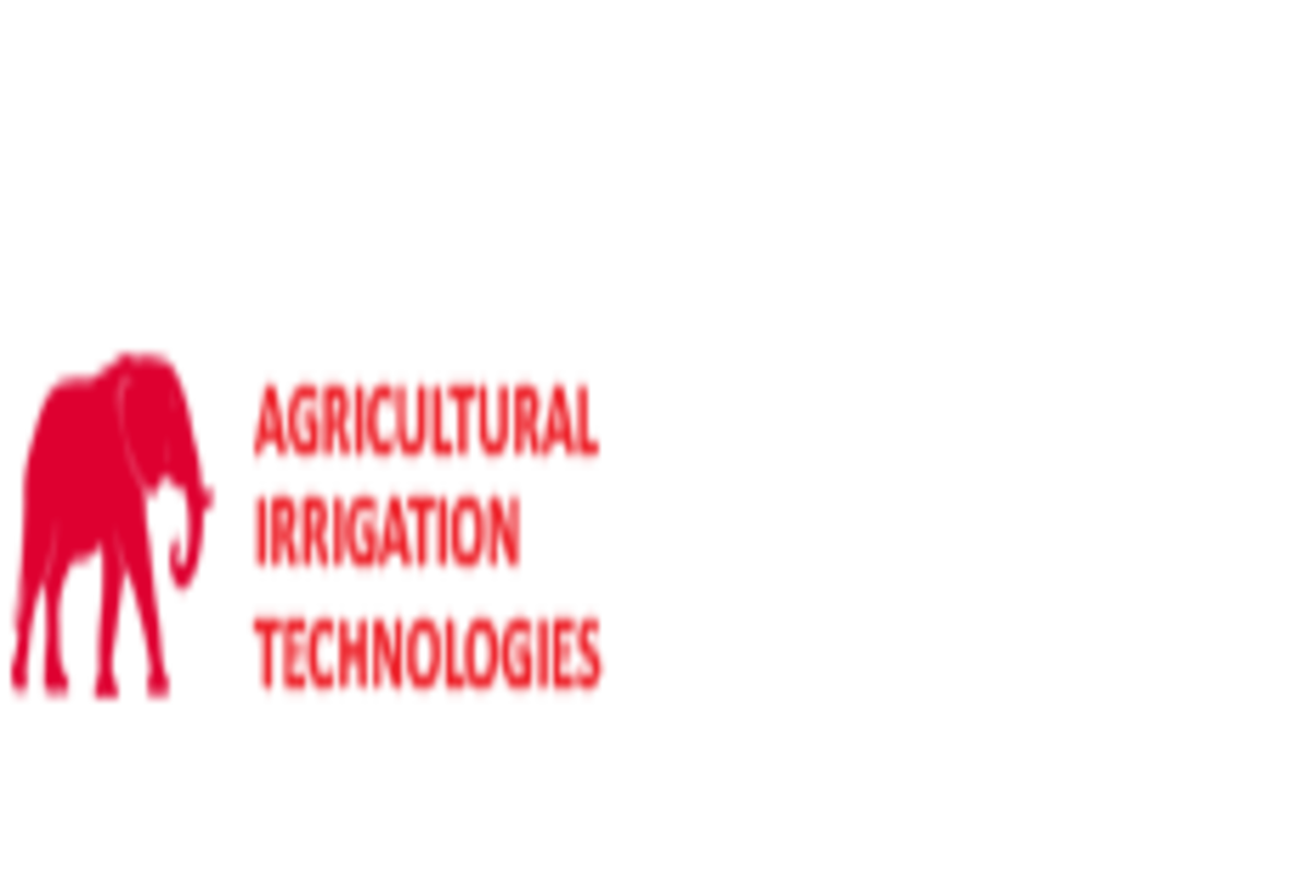 stf