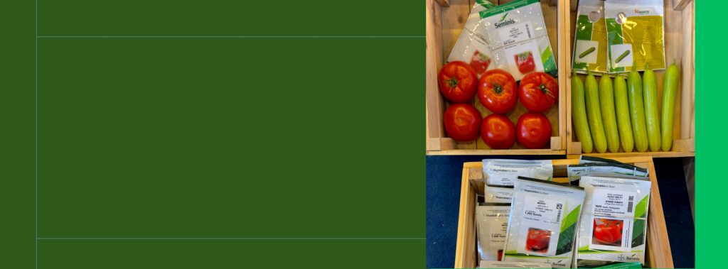 სათსლე მასალა AGRONOVA | აგრონოვა | დანერგე ნოვაცია